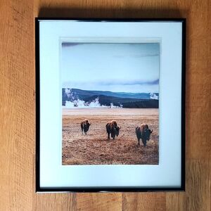"Single File" 5x7 or 8x10‎ Paper Photograph by Karen Geerken Photography